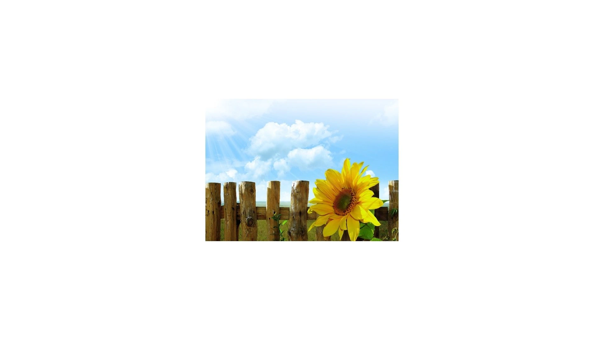 Bentonite For Fences