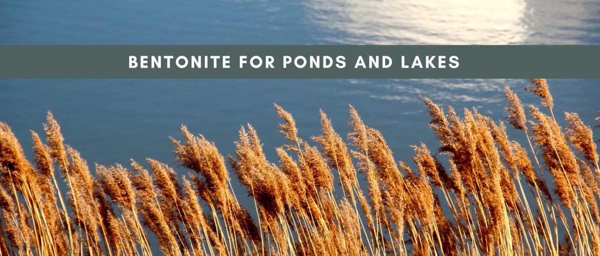 Bentonite for Ponds and Lakes